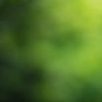 Fresh Natural Green Copy Space Background
