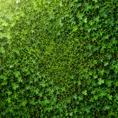 Fresh Moss and Clover Green Background