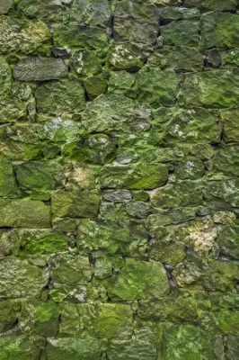 Fresh Green Moss Stone Texture Background