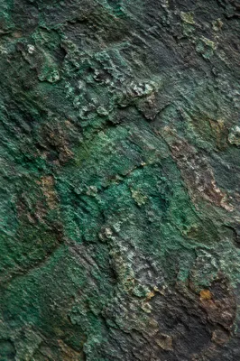 Fresh Green Weathered Stone Texture Background