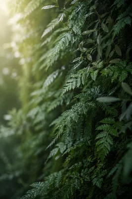 Fresh Fern and Moss Green Background