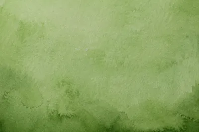 Fresh Green Botanical Paper Background
