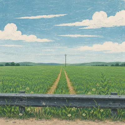 Green Field Horizon Under Blue Sky