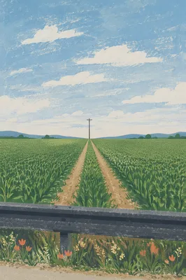 Green Field Horizon Under Blue Sky