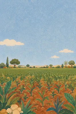 Green Field Horizon Under Clear Blue Sky