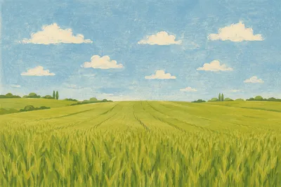 Green Field and Expansive Blue Sky