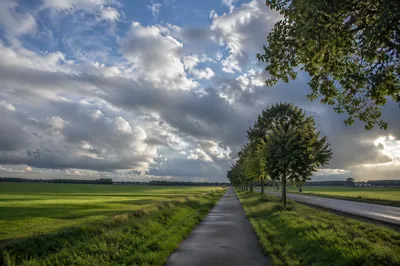 Green Countryside Path Under Stormy Sky