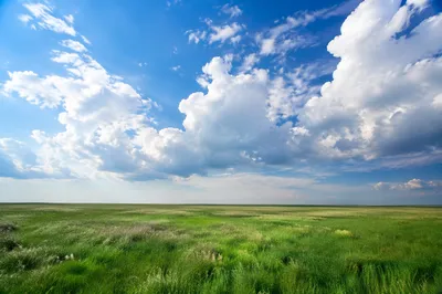 Endless Green Field Beneath Expansive Blue Sky