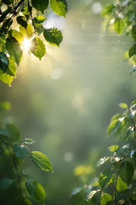 Fresh Green Leaves Scripture Background