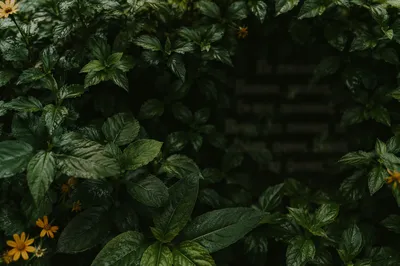 Moody Green Foliage Scripture Background