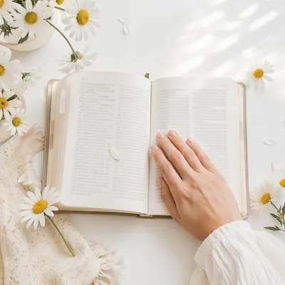 Fear Not Scripture Hand of Strength