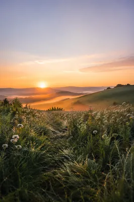 Sunrise Mercy Over Misty Wildflower Meadow
