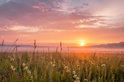 New Mercies Sunrise Meadow Background