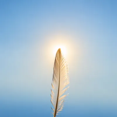 Delicate Feather in Calm Blue Sky