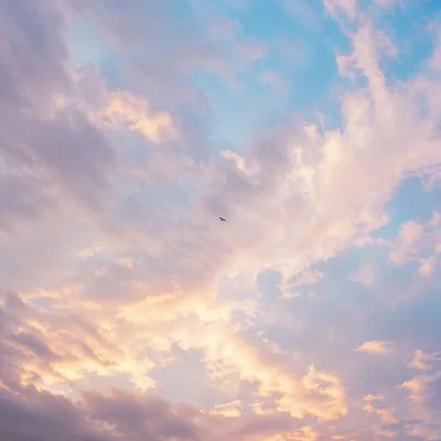 Soft Pastel Sky with Distant Bird