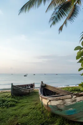 Calming Coastal Boats on Light Blue Shore