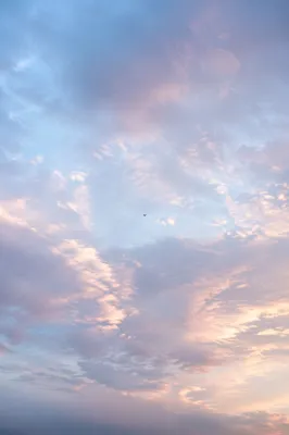 Soft Light Blue Sunrise Cloud Background