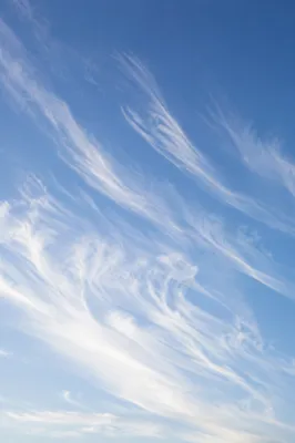 Soft Light Blue Cirrus Sky Background