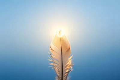 Translucent Feather Against Calm Blue Sky