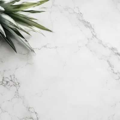 Elegant Marble Background with Tropical Leaves