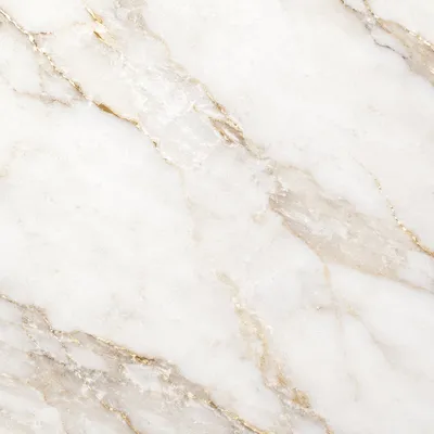Elegant White Marble with Gold Veins