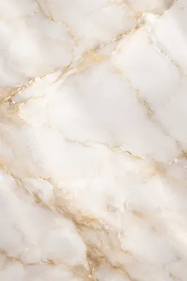 Elegant White Marble with Gold Veins