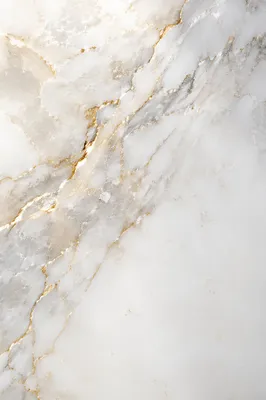 Elegant White Marble with Gold Veins