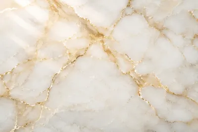 Elegant White Marble with Gold Veins