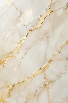 Elegant White Marble with Gold Veins