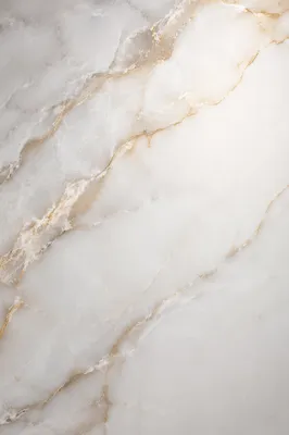 Elegant White Marble with Gold Veins