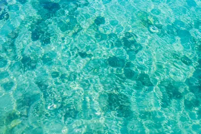 Sunlit Aqua Water Marble Texture Background