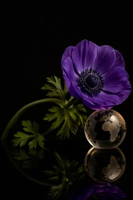 Violet Flower and Globe Mission Background