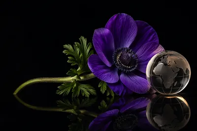Violet Flower and Globe Mission Background