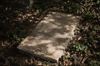 Weathered Stone Memorial in Quiet Woodland