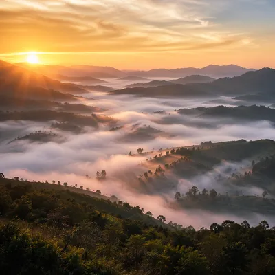 Misty Mountain Valley at Golden Dawn