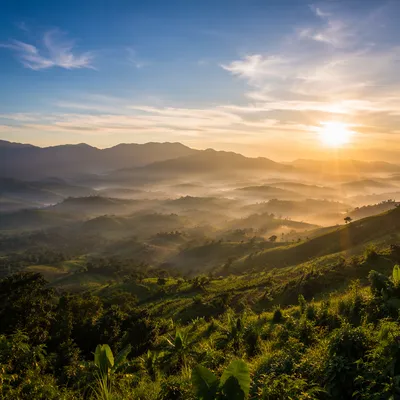 Misty Mountain Valley Dawn Light Rays