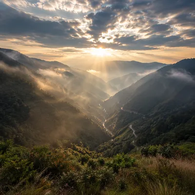 Misty Mountain Valley Dawn Light Rays