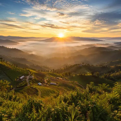 Misty Mountain Valley Dawn Light Rays