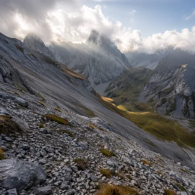 Misty Alpine Valley at Dawn