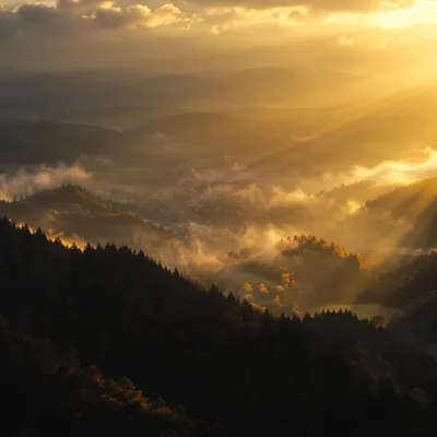 Misty Mountain Valley at Golden Dawn