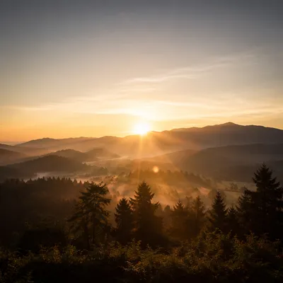 Misty Mountain Valley Dawn Light Rays