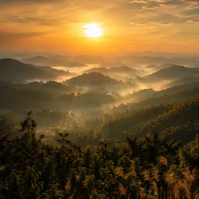 Misty Mountain Valley at Golden Dawn