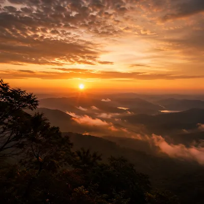 Misty Mountain Valley Dawn Light Rays