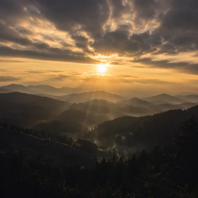 Misty Mountain Valley Dawn Light Rays