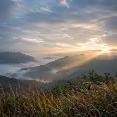 Misty Mountain Valley at Dawn Rays