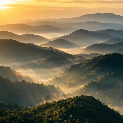 Misty Mountain Valley at Dawn Rays