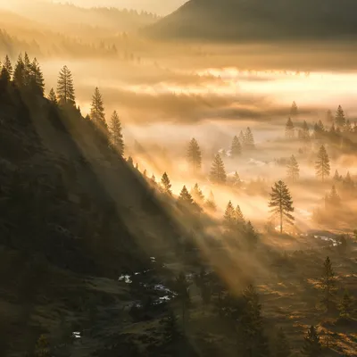 Misty Mountain Valley Dawn Light Rays