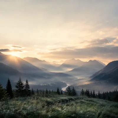 Misty Mountain Valley Dawn Light Rays