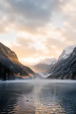 Misty Alpine Valley at Dawn
