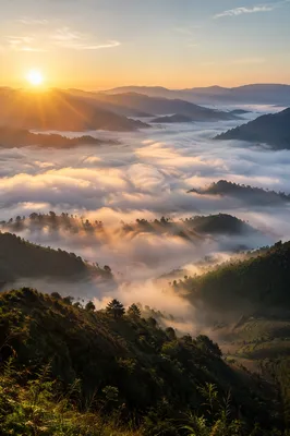Misty Mountain Valley at Golden Dawn